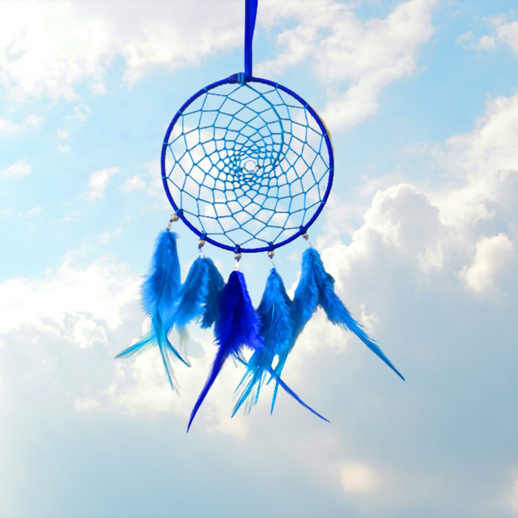 Buy Dream catcher car hanging Online Trogons