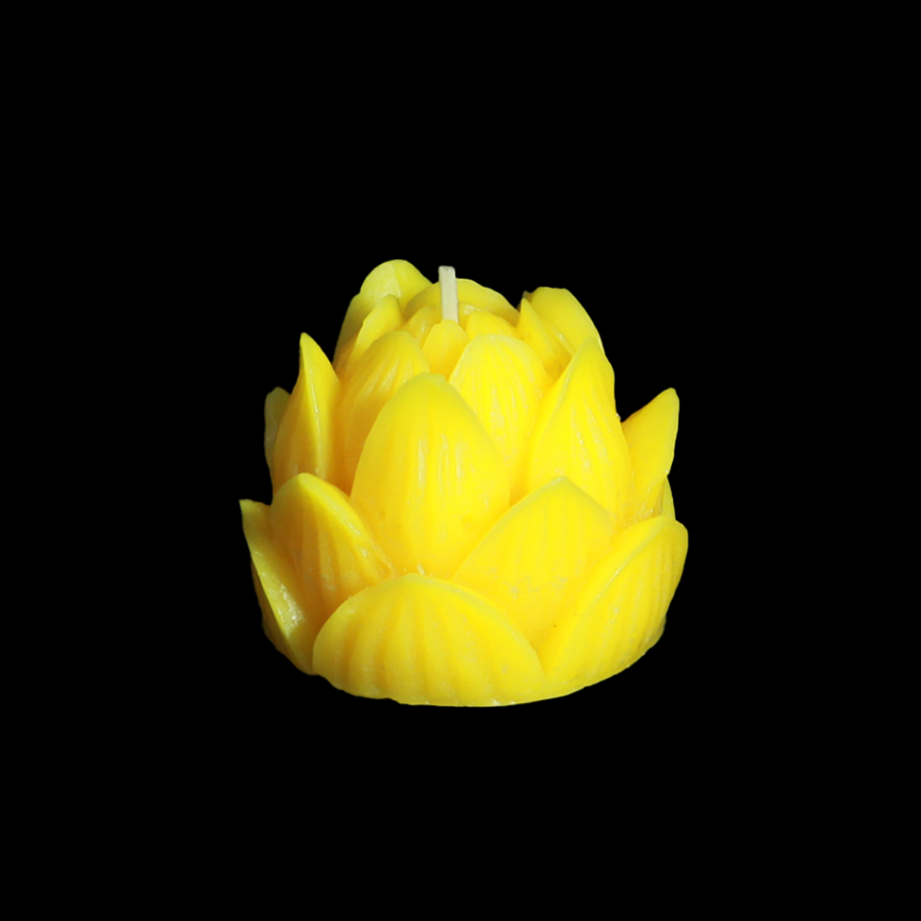 Buy Scented Lotus candles ( Pack of 4 ) Online Trogons